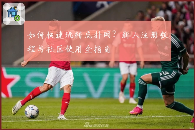 如何快速玩转虎扑网？新人注册教程与社区使用全指南