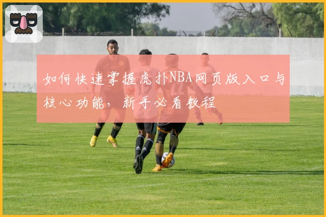 如何快速掌握虎扑NBA网页版入口与核心功能，新手必看教程